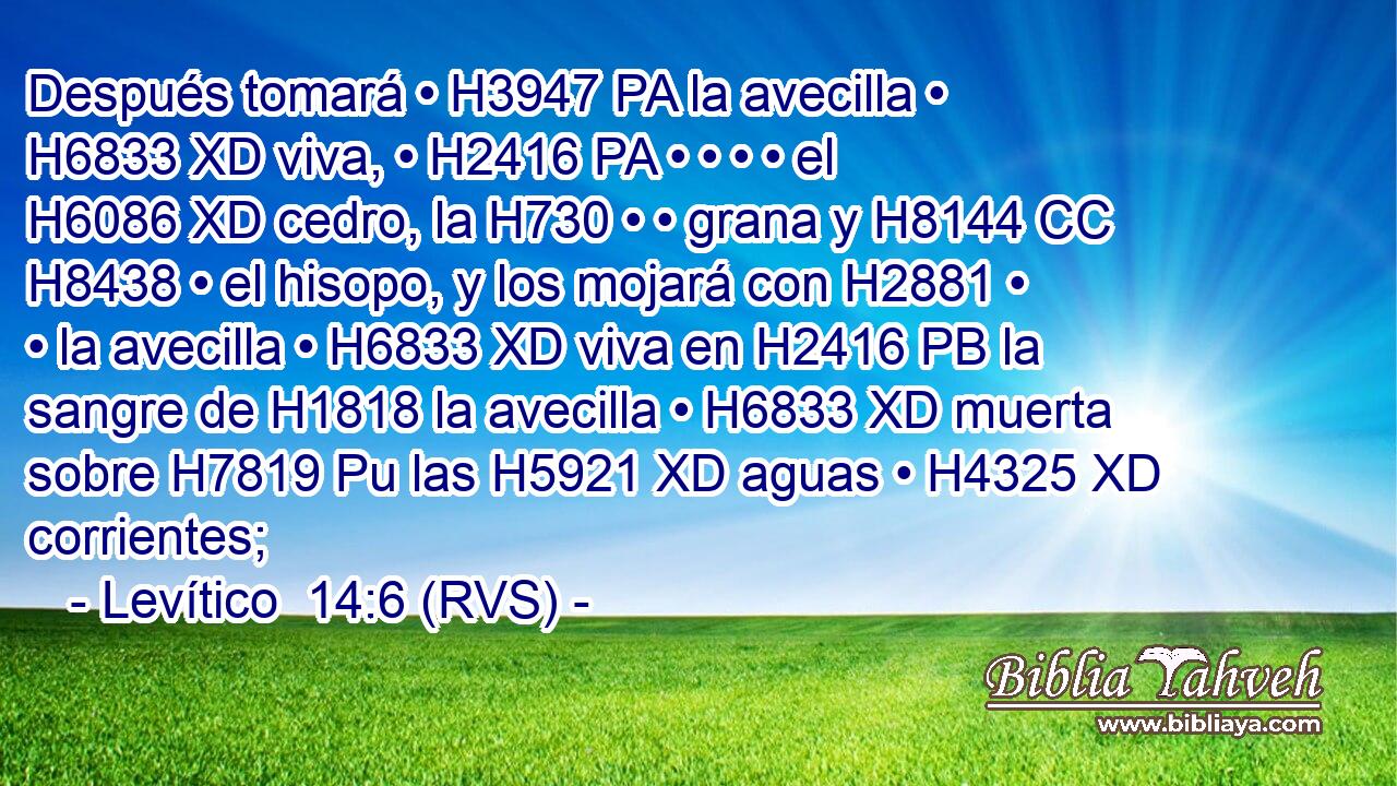 Después tomará • H3947 PA la avecilla • H6833 XD viva, • H2416 PA • • • • el H6086 XD cedro, la H730 • • grana y H8144 CC H8438 • el hisopo, y los mojará con H2881 • • la avecilla • H6833 XD viva en H2416 PB la sangre de H1818 la avecilla • H6833 XD muerta sobre H7819 Pu las H5921 XD aguas • H4325 XD corrientes; 