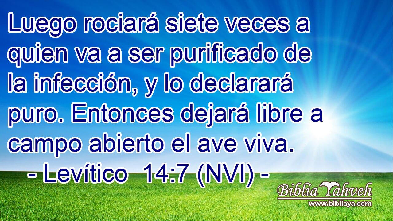  Luego rociará siete veces a quien va a ser purificado de la infección, y lo declarará puro. Entonces dejará libre a campo abierto el ave viva. 