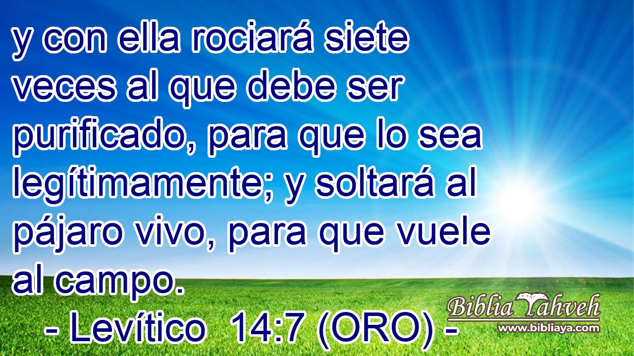  y con ella rociará siete veces al que debe ser purificado, para que lo sea legítimamente; y soltará al pájaro vivo, para que vuele al campo. 