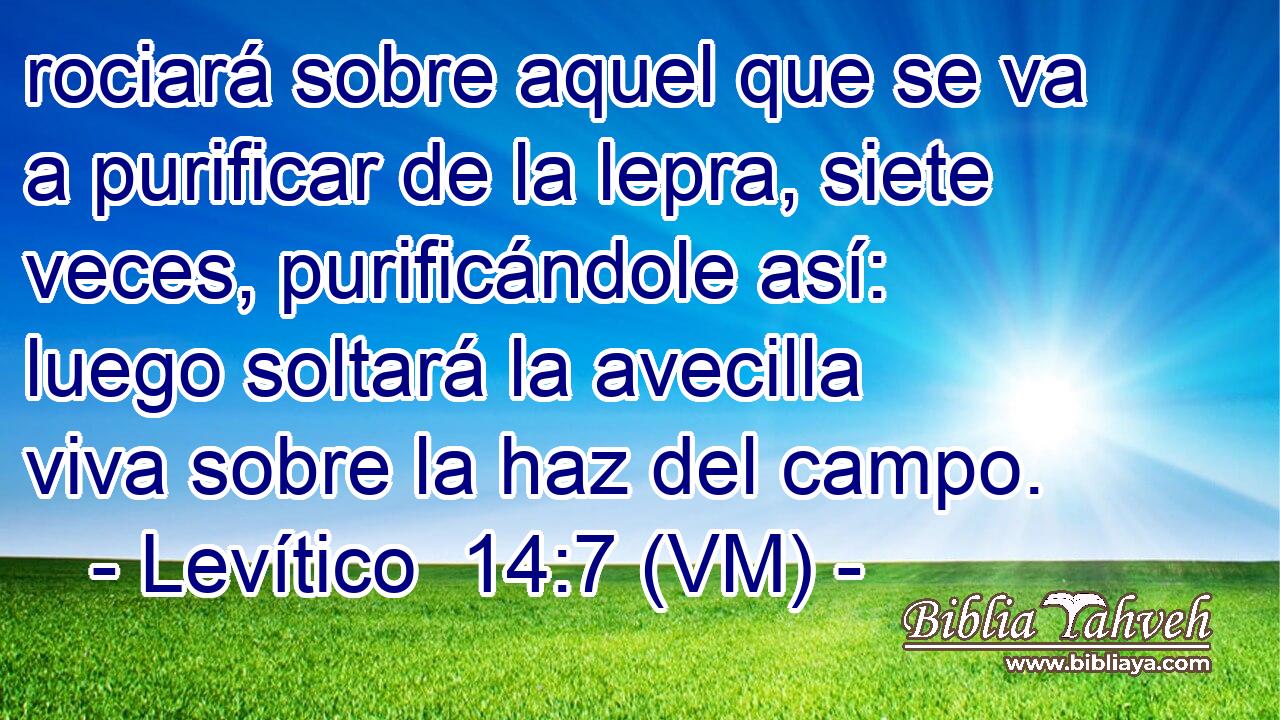  rociará sobre aquel que se va a purificar de la lepra, siete veces, purificándole así: luego soltará la avecilla viva sobre la haz del campo. 