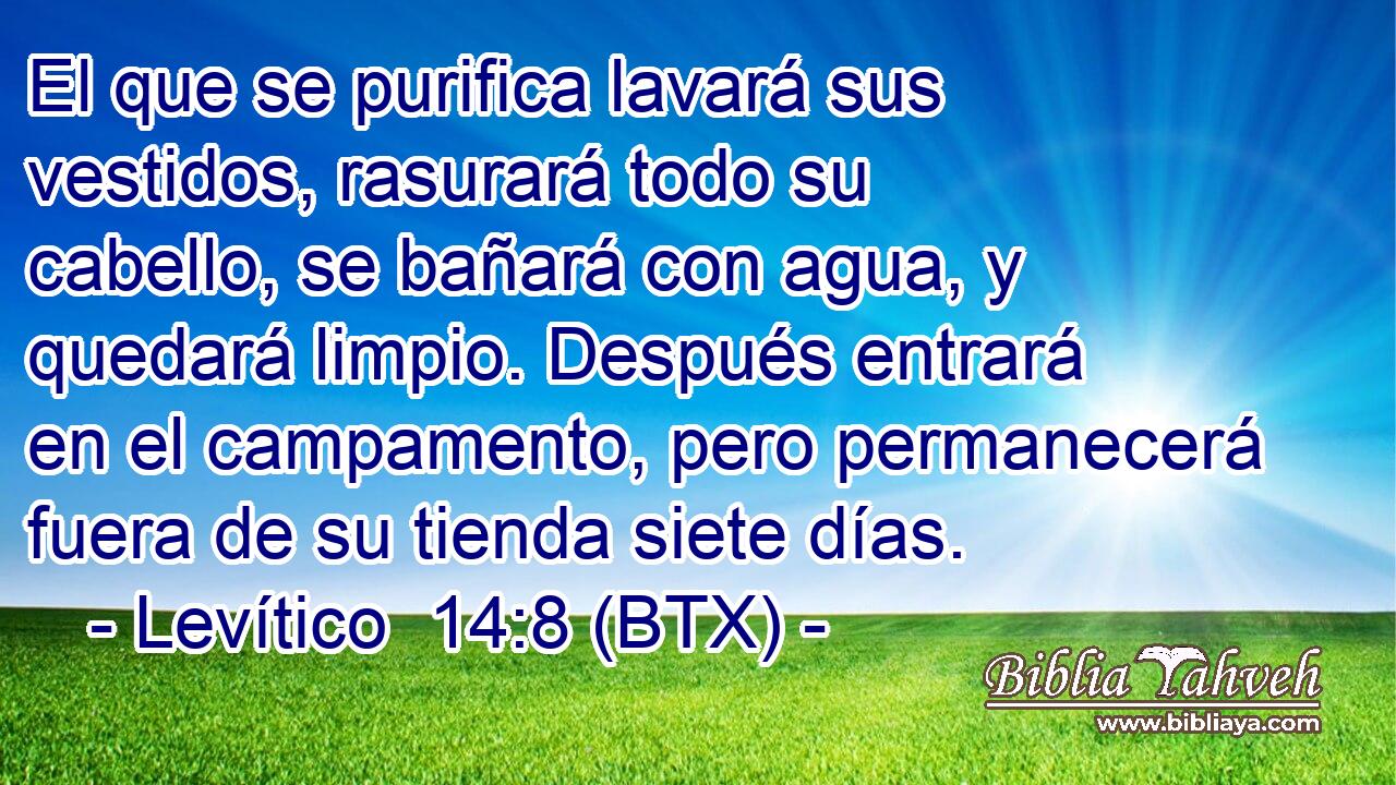 El que se purifica lavará sus vestidos, rasurará todo su cabello, se bañará con agua, y quedará limpio. Después entrará en el campamento, pero permanecerá fuera de su tienda siete días.