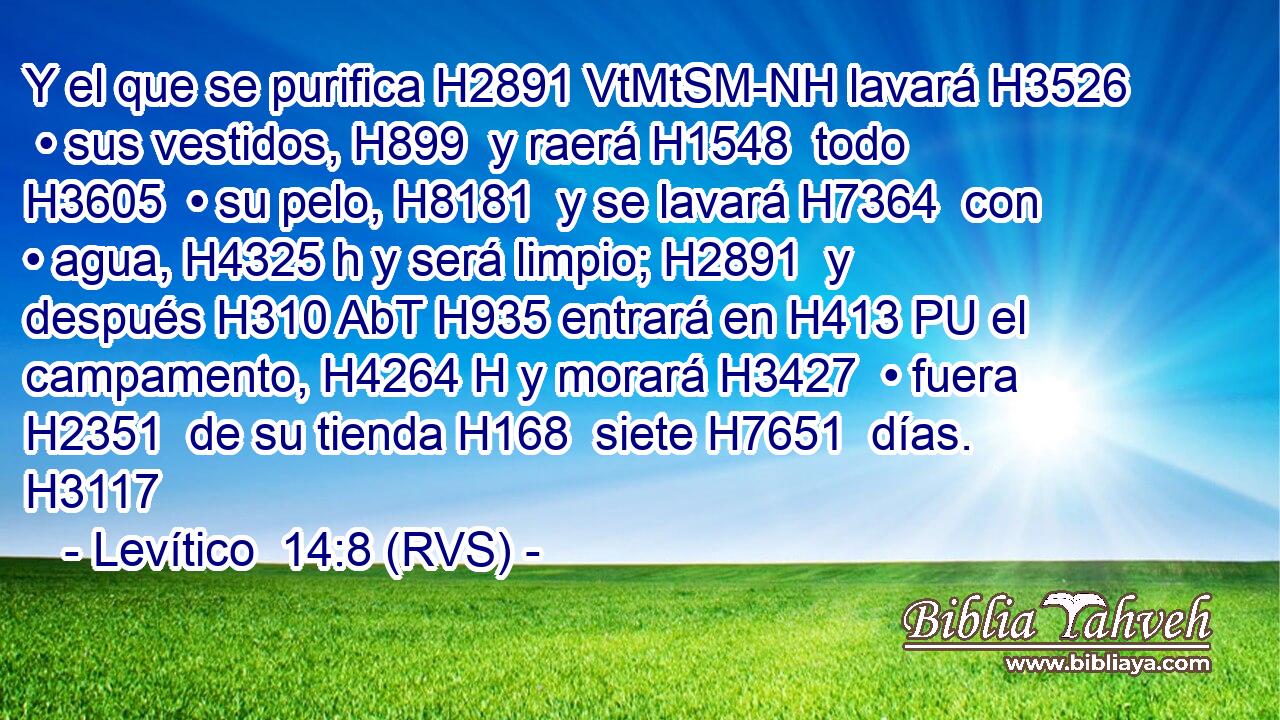 Y el que se purifica H2891 VtMtSM-NH lavará H3526  • sus vestidos, H899  y raerá H1548  todo H3605  • su pelo, H8181  y se lavará H7364  con • agua, H4325 h y será limpio; H2891  y después H310 AbT H935 entrará en H413 PU el campamento, H4264 H y morará H3427  • fuera H2351  de su tienda H168  siete H7651  días. H3117  