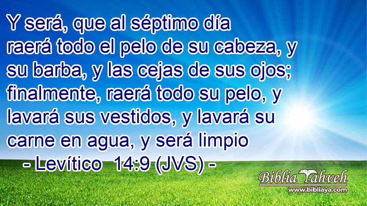 Y será, que al séptimo día raerá todo el pelo de su cabeza, y su barba, y las cejas de sus ojos; finalmente, raerá todo su pelo, y lavará sus vestidos, y lavará su carne en agua, y será limpio