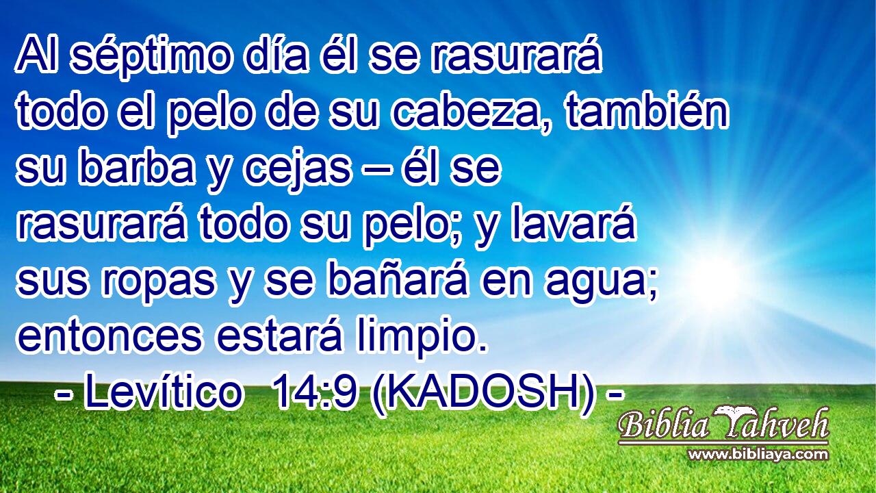  Al séptimo día él se rasurará todo el pelo de su cabeza, también su barba y cejas – él se rasurará todo su pelo; y lavará sus ropas y se bañará en agua; entonces estará limpio. 