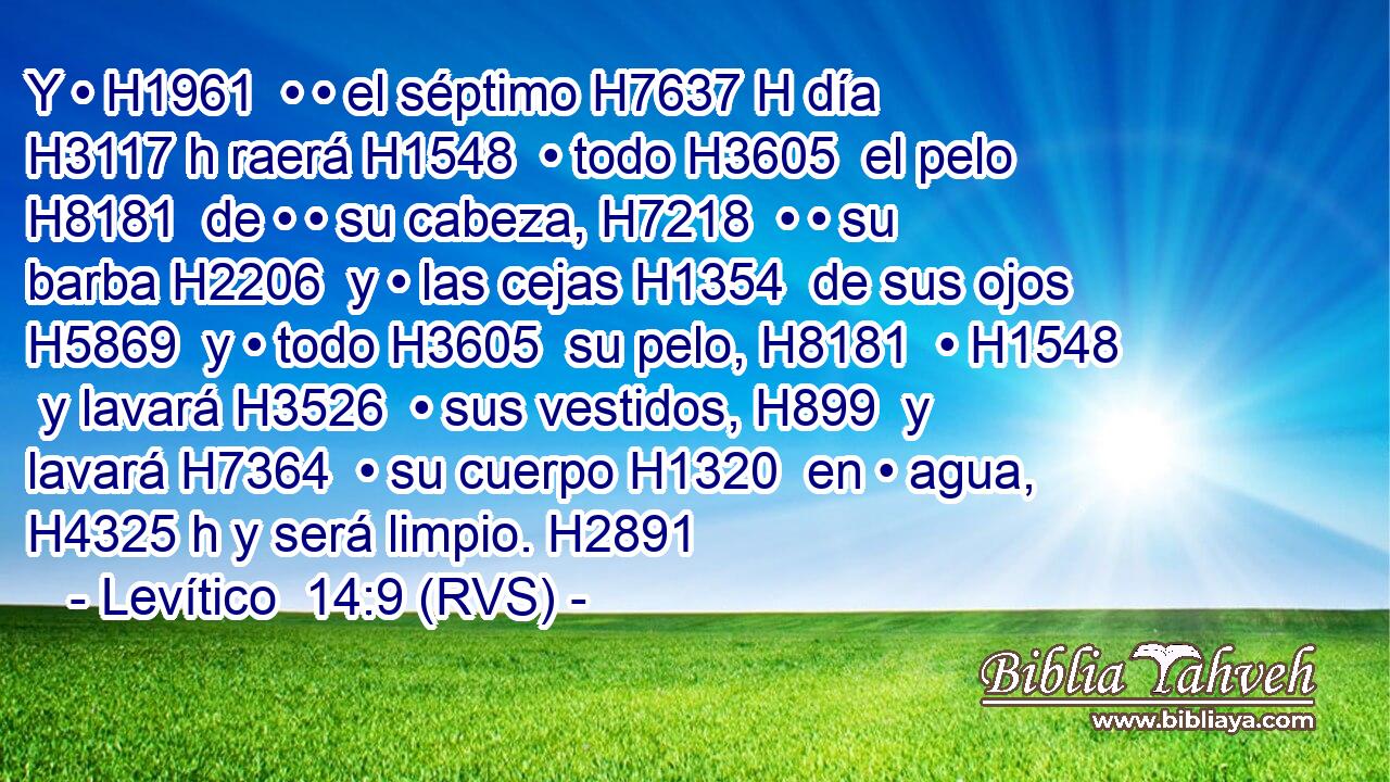 Y • H1961  • • el séptimo H7637 H día H3117 h raerá H1548  • todo H3605  el pelo H8181  de • • su cabeza, H7218  • • su barba H2206  y • las cejas H1354  de sus ojos H5869  y • todo H3605  su pelo, H8181  • H1548  y lavará H3526  • sus vestidos, H899  y lavará H7364  • su cuerpo H1320  en • agua, H4325 h y será limpio. H2891  