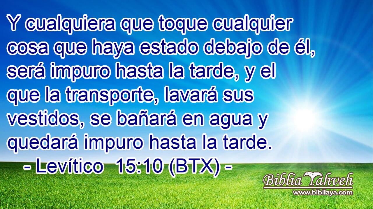 Y cualquiera que toque cualquier cosa que haya estado debajo de él, será impuro hasta la tarde, y el que la transporte, lavará sus vestidos, se bañará en agua y quedará impuro hasta la tarde.