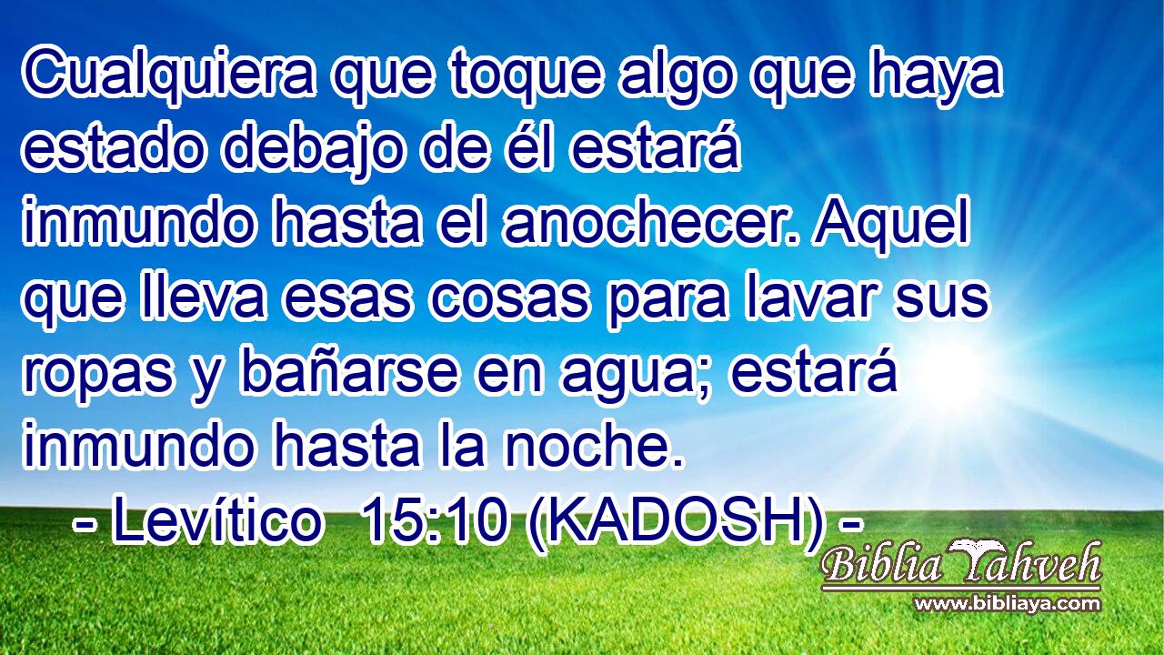 Cualquiera que toque algo que haya estado debajo de él estará inmundo hasta el anochecer. Aquel que lleva esas cosas para lavar sus ropas y bañarse en agua; estará inmundo hasta la noche. 