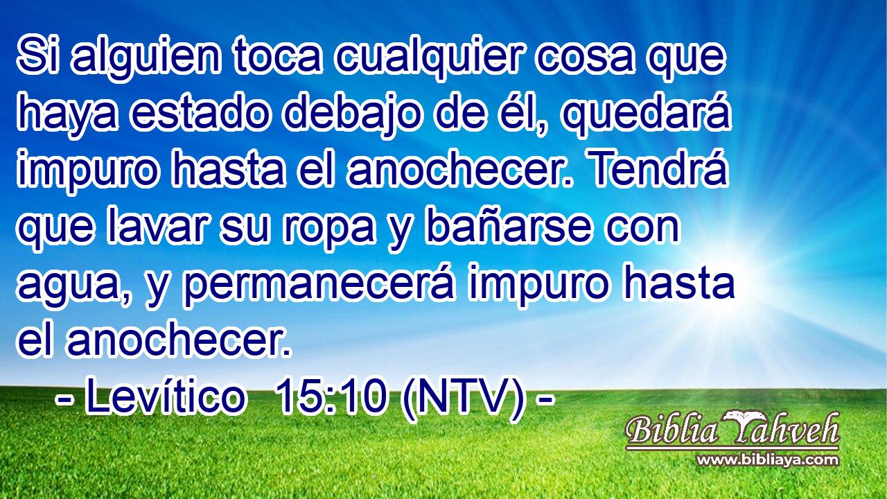 Si alguien toca cualquier cosa que haya estado debajo de él, quedará impuro hasta el anochecer. Tendrá que lavar su ropa y bañarse con agua, y permanecerá impuro hasta el anochecer.