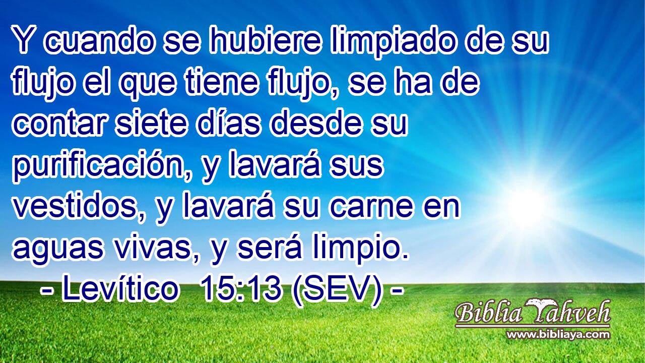 Y cuando se hubiere limpiado de su flujo el que tiene flujo, se ha de contar siete días desde su purificación, y lavará sus vestidos, y lavará su carne en aguas vivas, y será limpio.