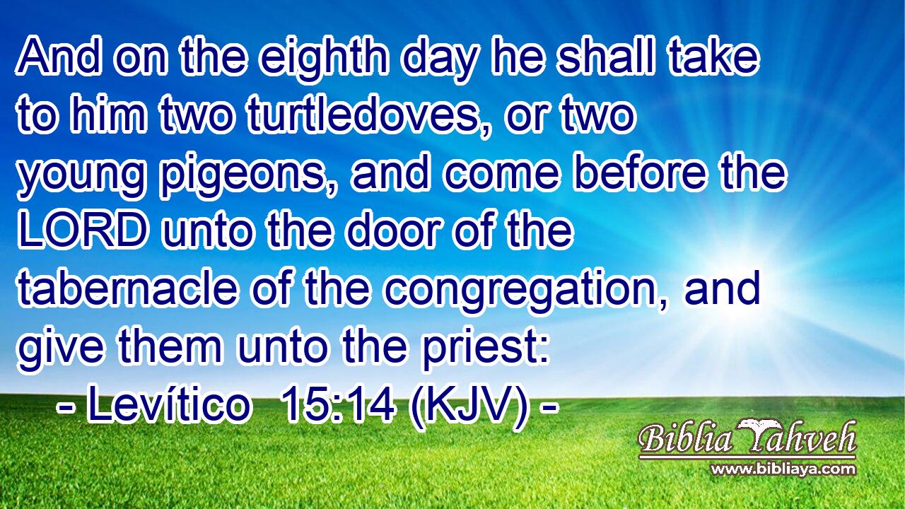 And on the eighth day he shall take to him two turtledoves, or two young pigeons, and come before the LORD unto the door of the tabernacle of the congregation, and give them unto the priest: