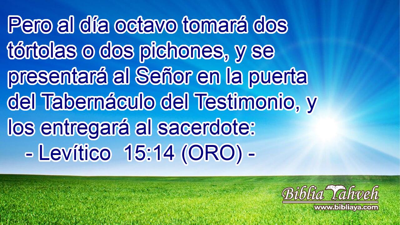  Pero al día octavo tomará dos tórtolas o dos pichones, y se presentará al Señor en la puerta del Tabernáculo del Testimonio, y los entregará al sacerdote: 