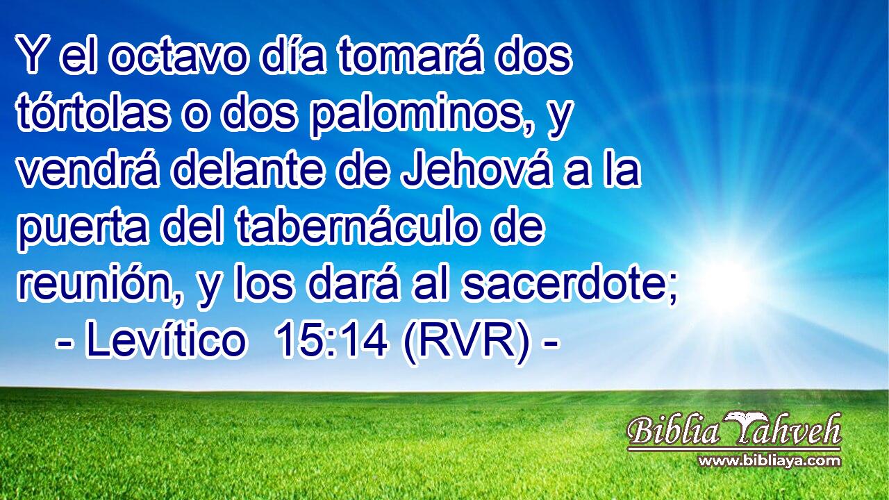 Y el octavo día tomará dos tórtolas o dos palominos, y vendrá delante de Jehová a la puerta del tabernáculo de reunión, y los dará al sacerdote;