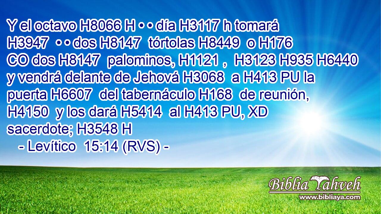 Y el octavo H8066 H • • día H3117 h tomará H3947  • • dos H8147  tórtolas H8449  o H176 CO dos H8147  palominos, H1121 ,  H3123 H935 H6440 y vendrá delante de Jehová H3068  a H413 PU la puerta H6607  del tabernáculo H168  de reunión, H4150  y los dará H5414  al H413 PU, XD sacerdote; H3548 H 