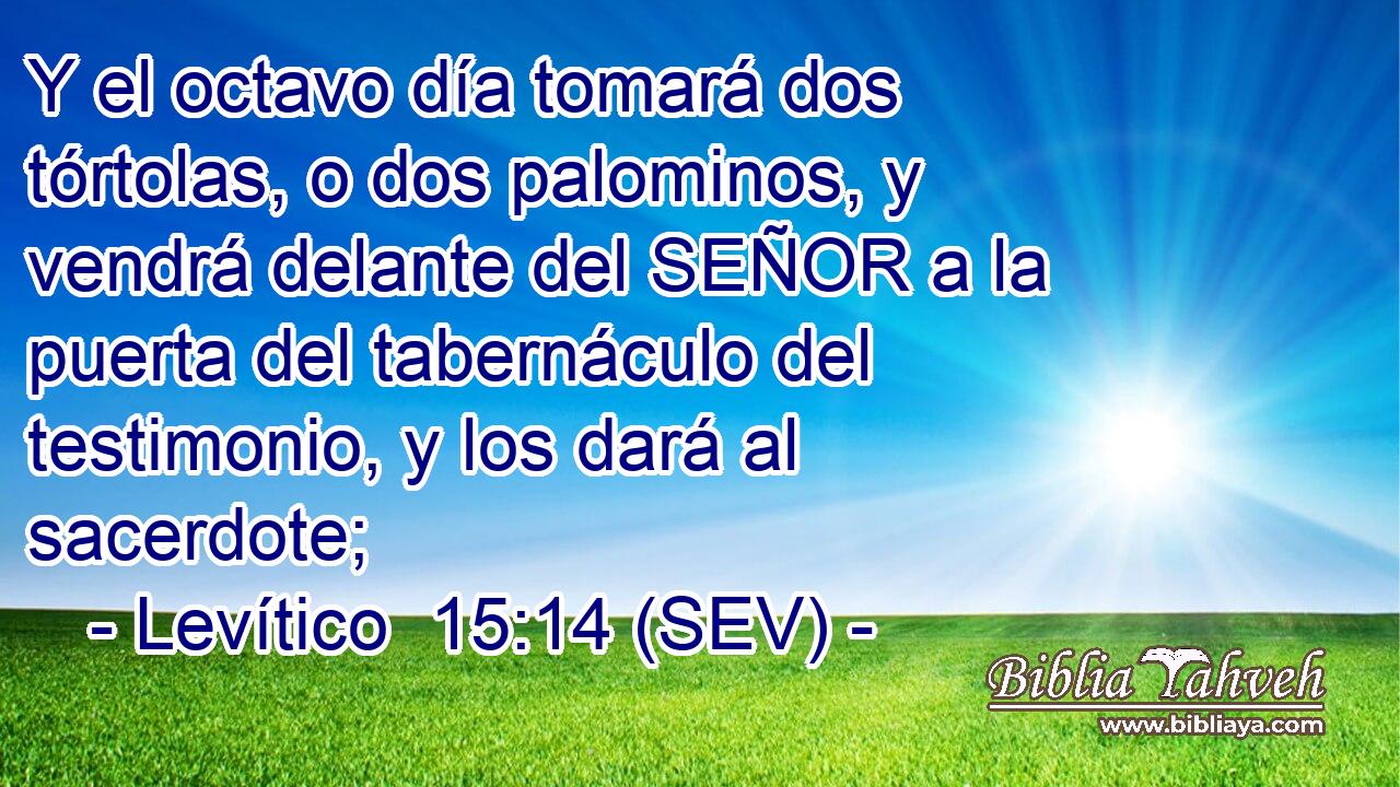Y el octavo día tomará dos tórtolas, o dos palominos, y vendrá delante del SEÑOR a la puerta del tabernáculo del testimonio, y los dará al sacerdote;