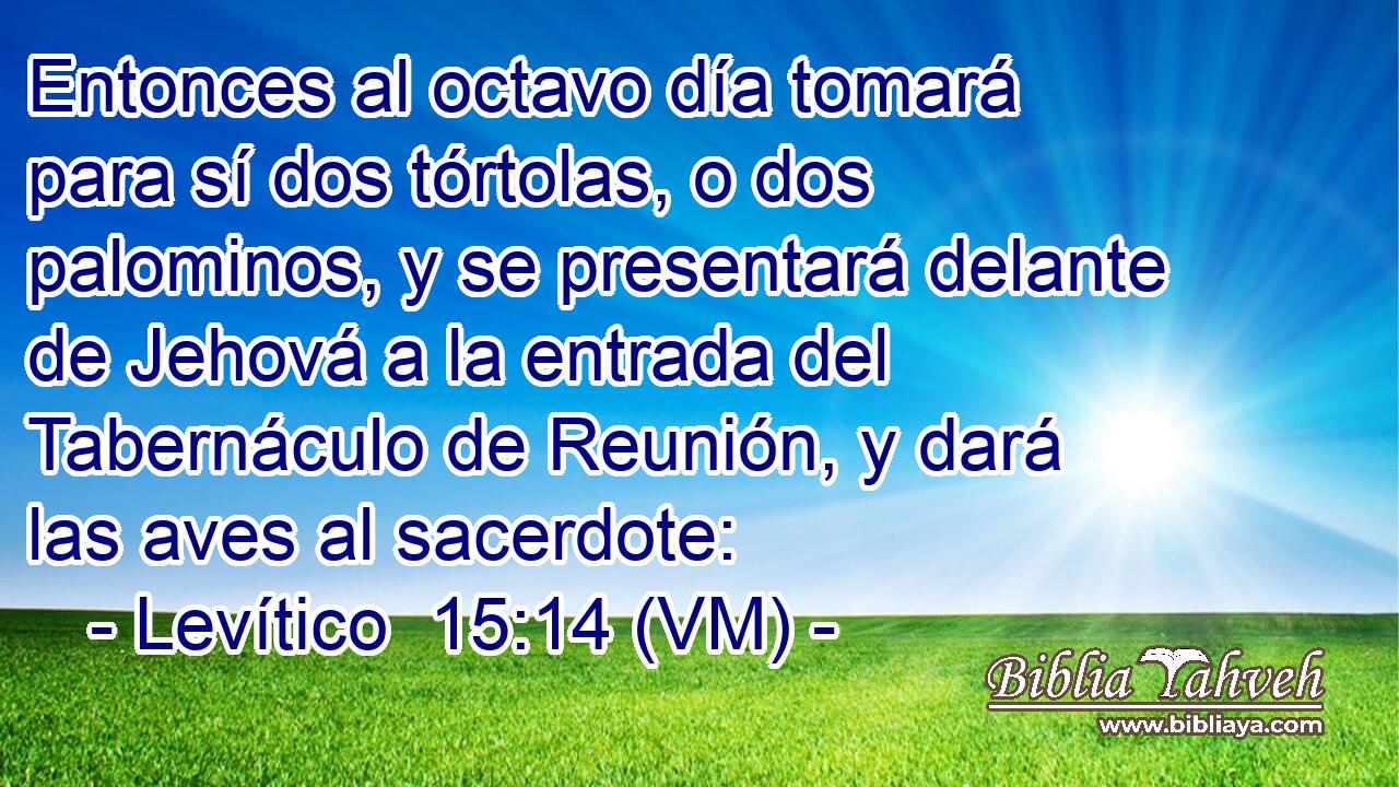  Entonces al octavo día tomará para sí dos tórtolas, o dos palominos, y se presentará delante de Jehová a la entrada del Tabernáculo de Reunión, y dará las aves al sacerdote: 