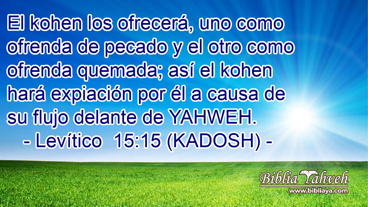  El kohen los ofrecerá, uno como ofrenda de pecado y el otro como ofrenda quemada; así el kohen hará expiación por él a causa de su flujo delante de YAHWEH. 
