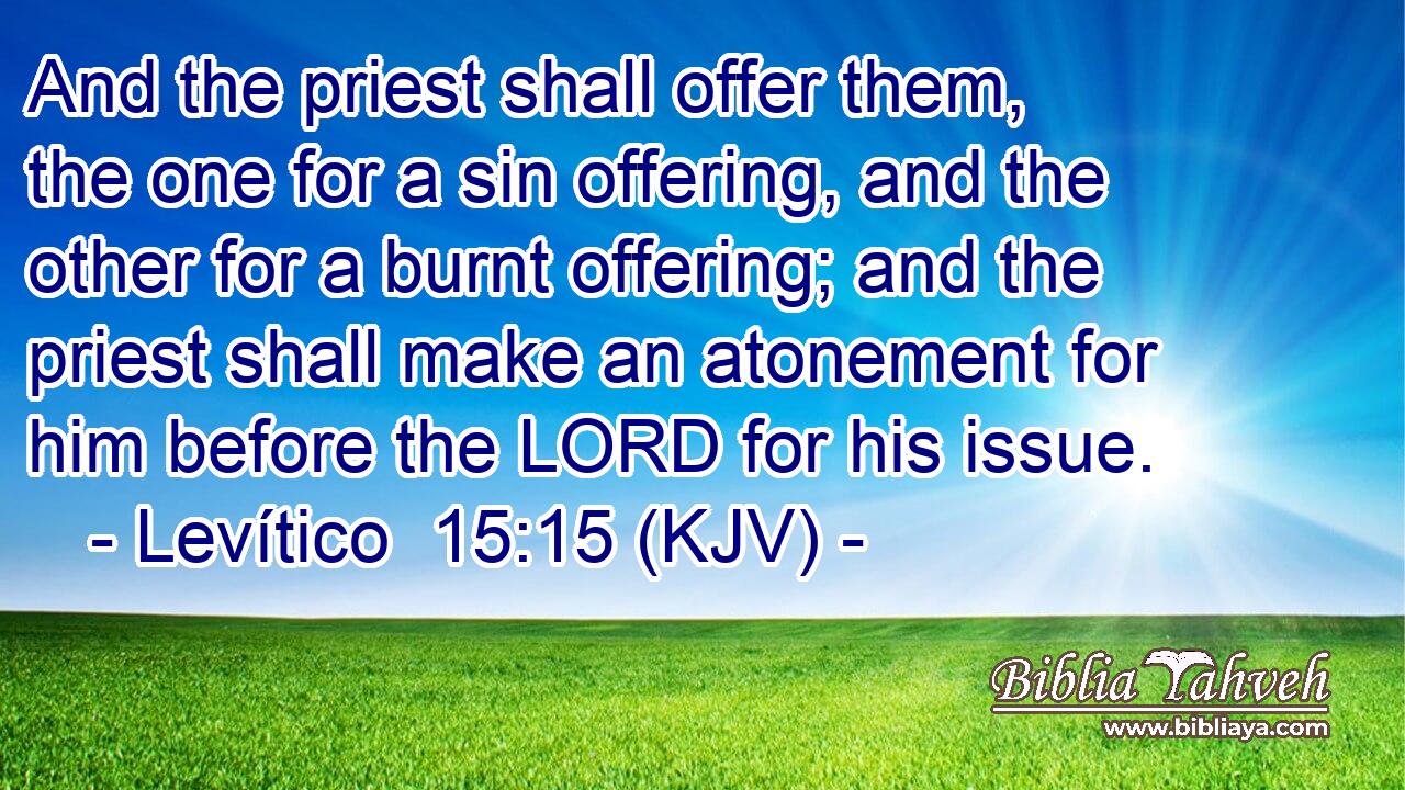 And the priest shall offer them, the one for a sin offering, and the other for a burnt offering; and the priest shall make an atonement for him before the LORD for his issue.