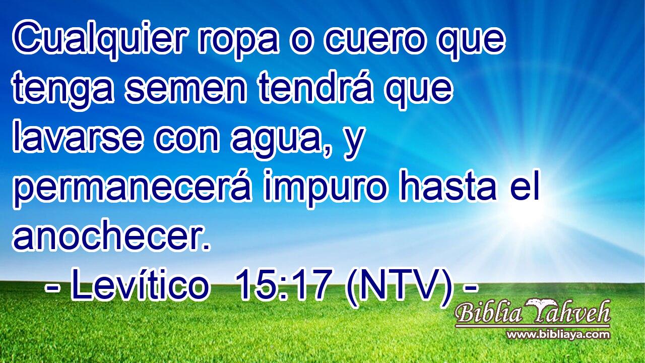 Cualquier ropa o cuero que tenga semen tendrá que lavarse con agua, y permanecerá impuro hasta el anochecer.