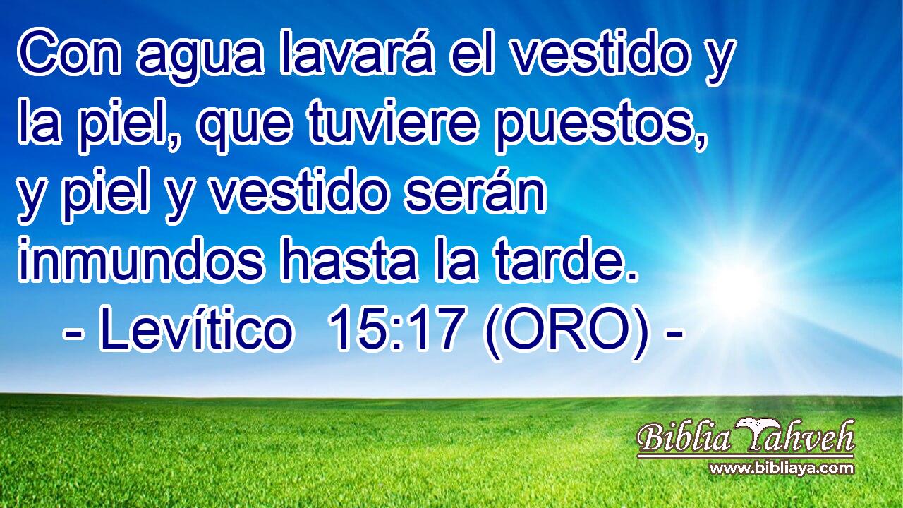  Con agua lavará el vestido y la piel, que tuviere puestos, y piel y vestido serán inmundos hasta la tarde. 