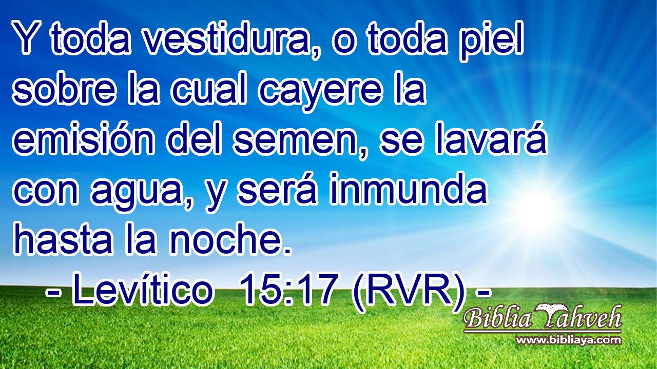 Y toda vestidura, o toda piel sobre la cual cayere la emisión del semen, se lavará con agua, y será inmunda hasta la noche.