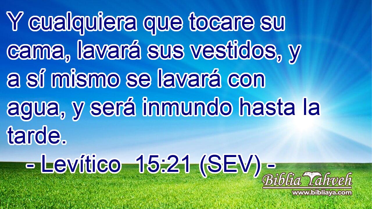 Y cualquiera que tocare su cama, lavará sus vestidos, y a sí mismo se lavará con agua, y será inmundo hasta la tarde.
