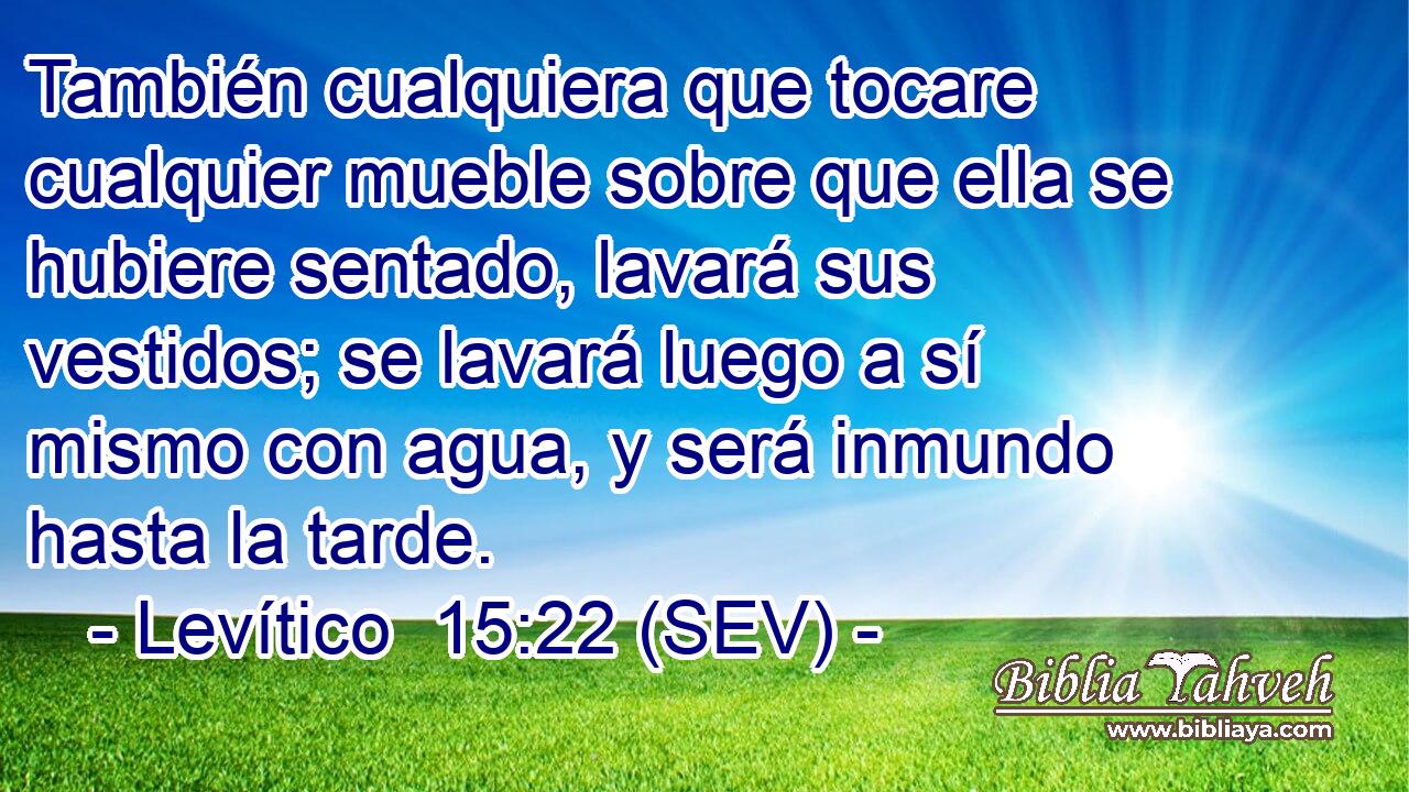 También cualquiera que tocare cualquier mueble sobre que ella se hubiere sentado, lavará sus vestidos; se lavará luego a sí mismo con agua, y será inmundo hasta la tarde.