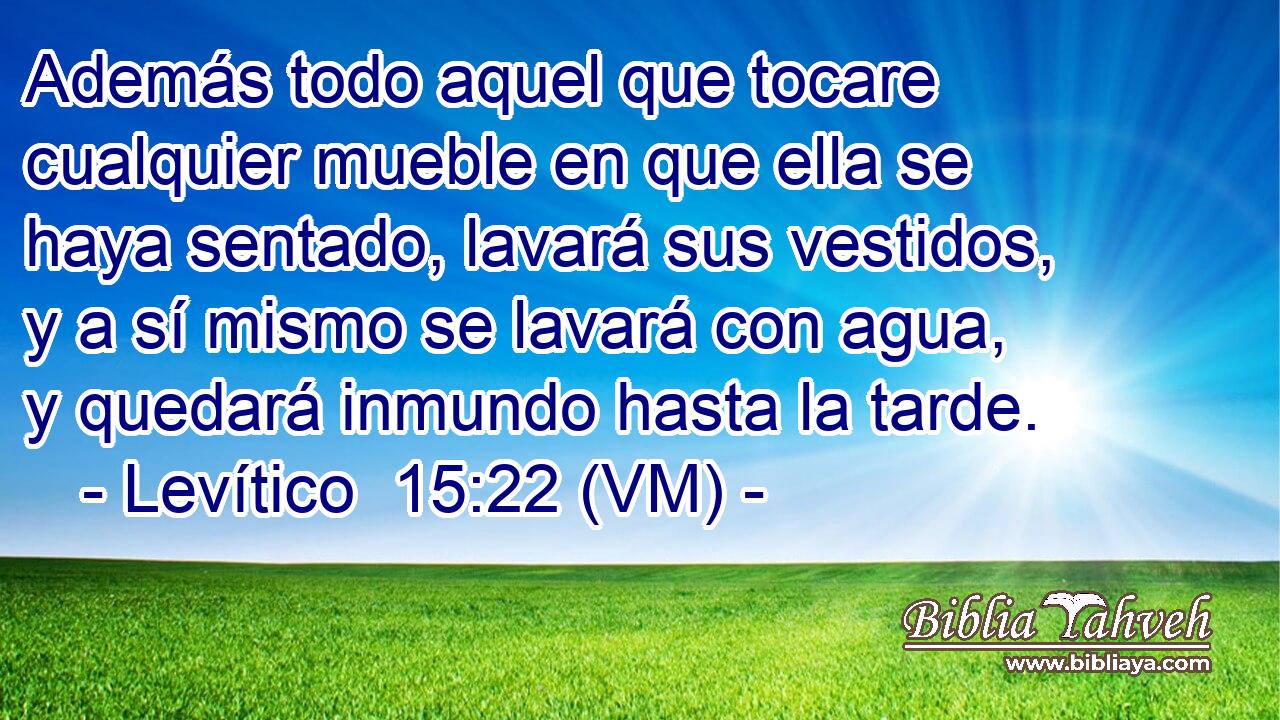  Además todo aquel que tocare cualquier mueble en que ella se haya sentado, lavará sus vestidos, y a sí mismo se lavará con agua, y quedará inmundo hasta la tarde. 