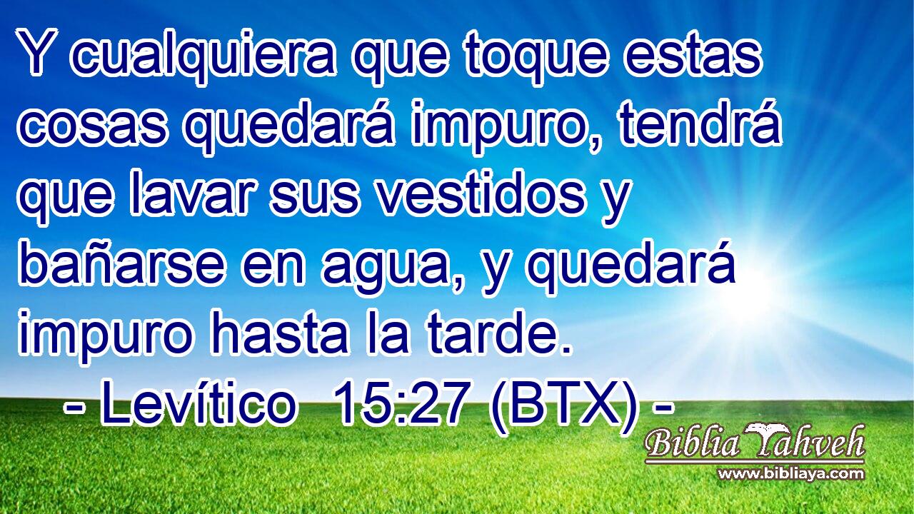 Y cualquiera que toque estas cosas quedará impuro, tendrá que lavar sus vestidos y bañarse en agua, y quedará impuro hasta la tarde.