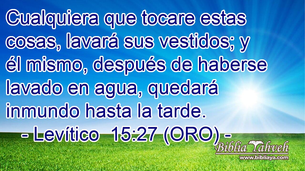  Cualquiera que tocare estas cosas, lavará sus vestidos; y él mismo, después de haberse lavado en agua, quedará inmundo hasta la tarde. 