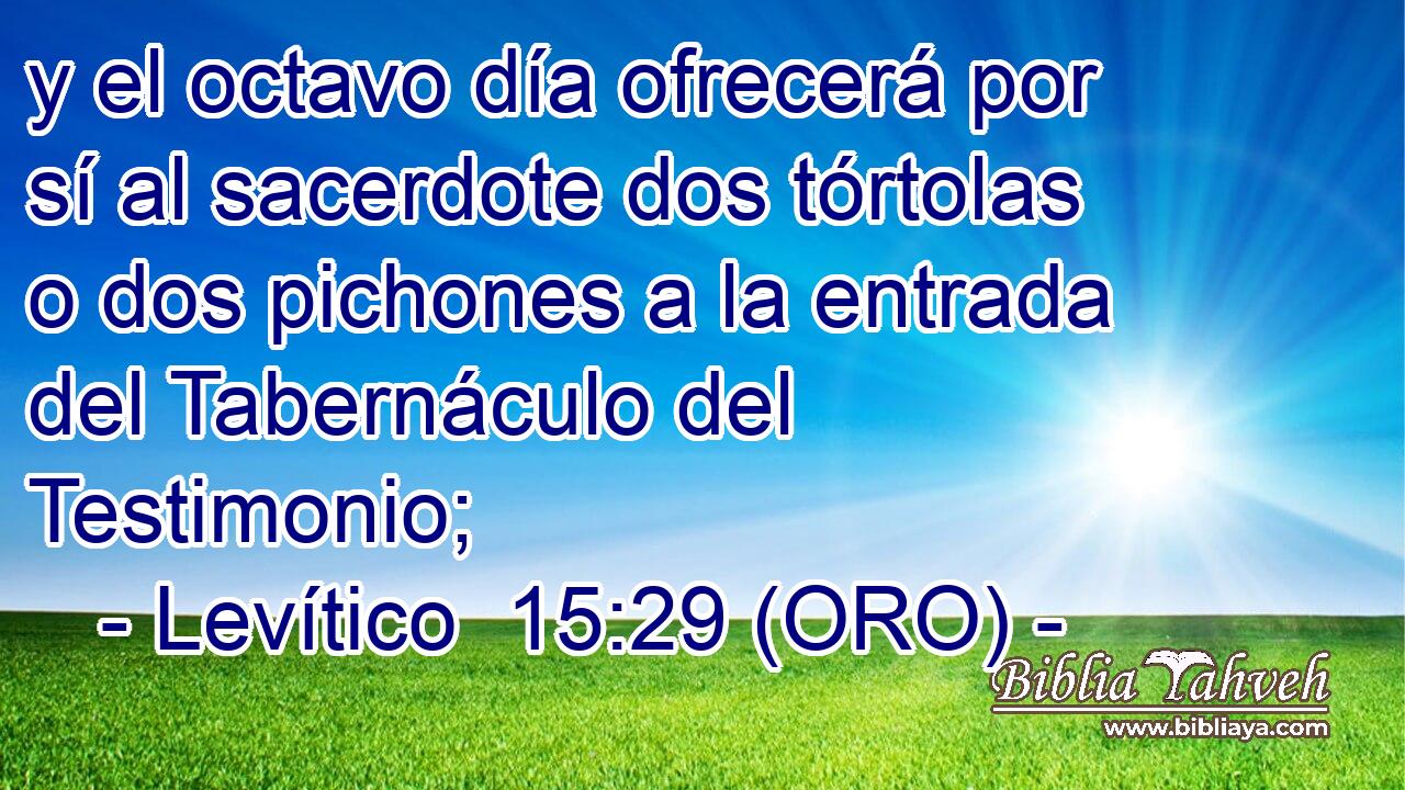  y el octavo día ofrecerá por sí al sacerdote dos tórtolas o dos pichones a la entrada del Tabernáculo del Testimonio; 