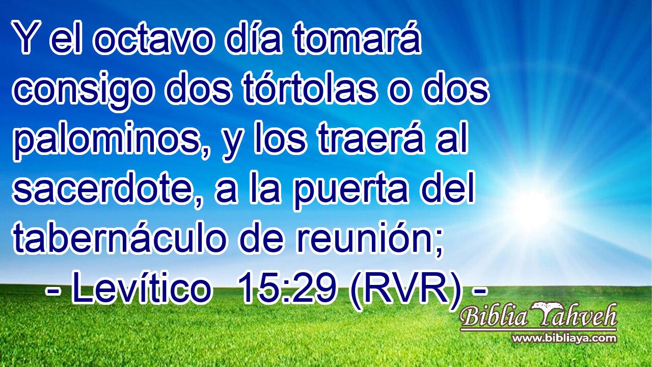 Y el octavo día tomará consigo dos tórtolas o dos palominos, y los traerá al sacerdote, a la puerta del tabernáculo de reunión;