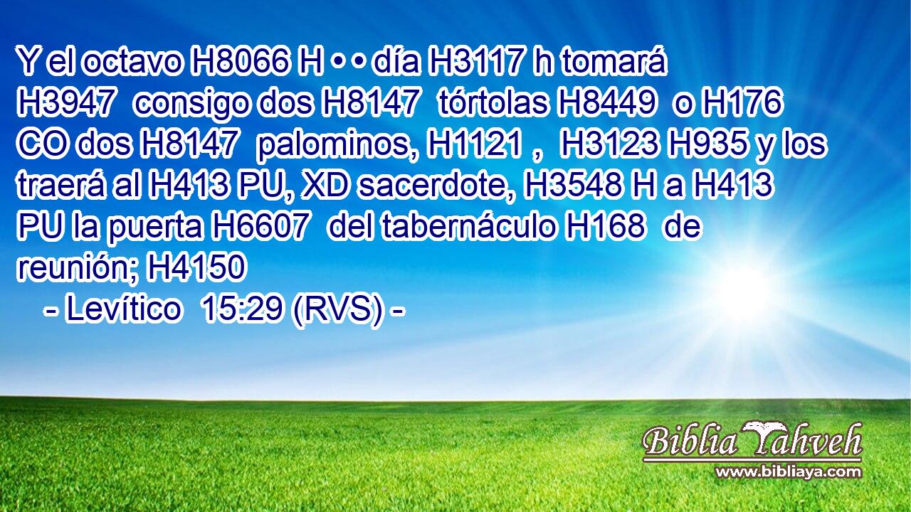 Y el octavo H8066 H • • día H3117 h tomará H3947  consigo dos H8147  tórtolas H8449  o H176 CO dos H8147  palominos, H1121 ,  H3123 H935 y los traerá al H413 PU, XD sacerdote, H3548 H a H413 PU la puerta H6607  del tabernáculo H168  de reunión; H4150  