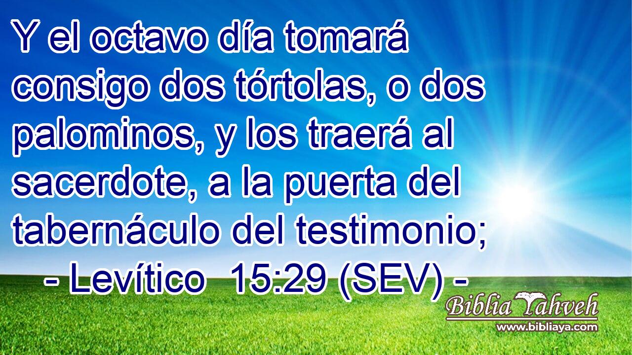 Y el octavo día tomará consigo dos tórtolas, o dos palominos, y los traerá al sacerdote, a la puerta del tabernáculo del testimonio;