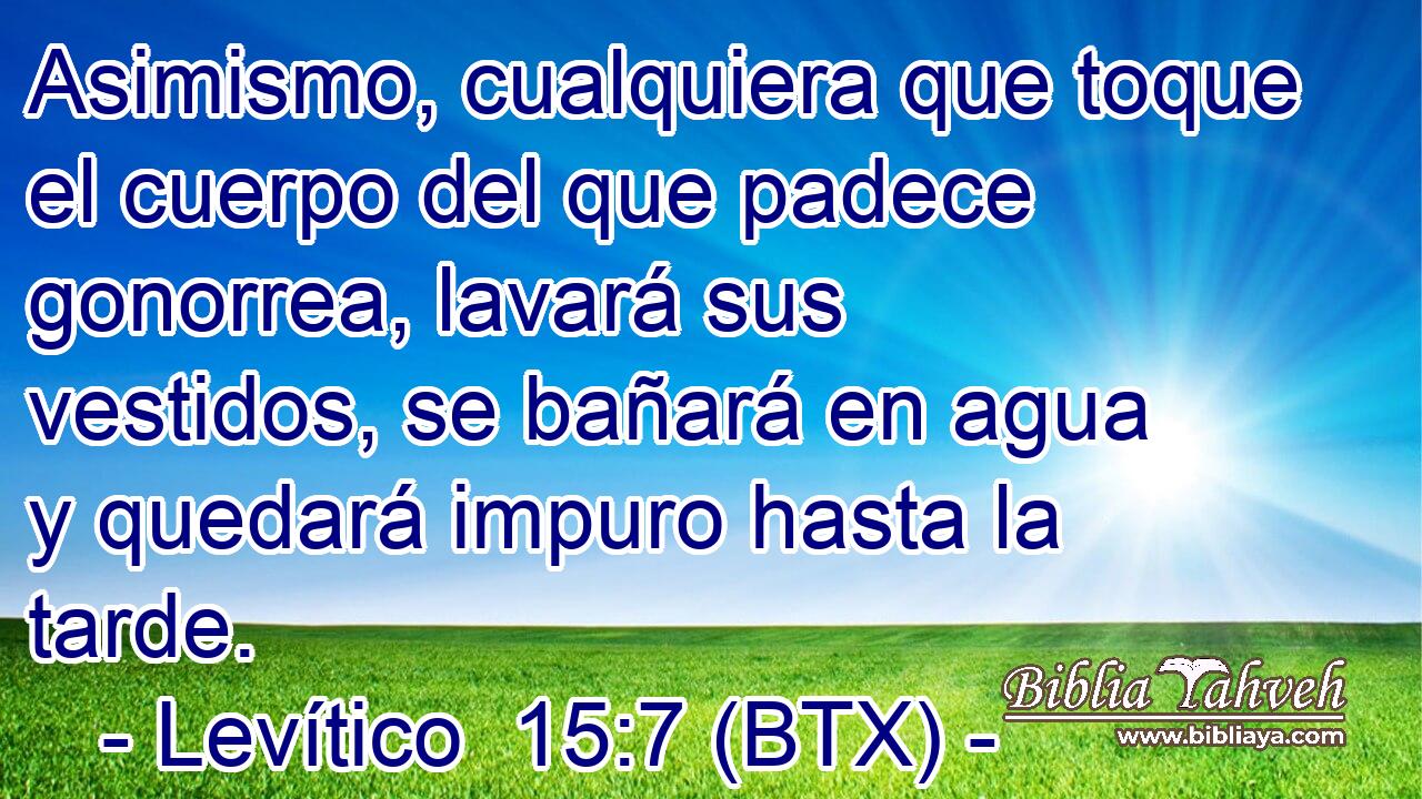 Asimismo, cualquiera que toque el cuerpo del que padece gonorrea, lavará sus vestidos, se bañará en agua y quedará impuro hasta la tarde.