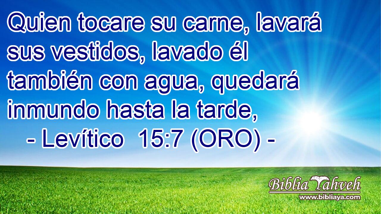  Quien tocare su carne, lavará sus vestidos, lavado él también con agua, quedará inmundo hasta la tarde, 