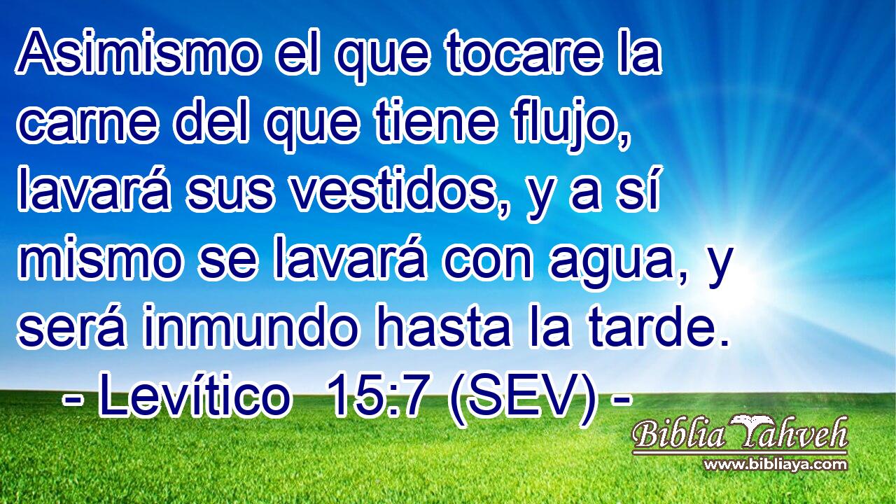 Asimismo el que tocare la carne del que tiene flujo, lavará sus vestidos, y a sí mismo se lavará con agua, y será inmundo hasta la tarde.