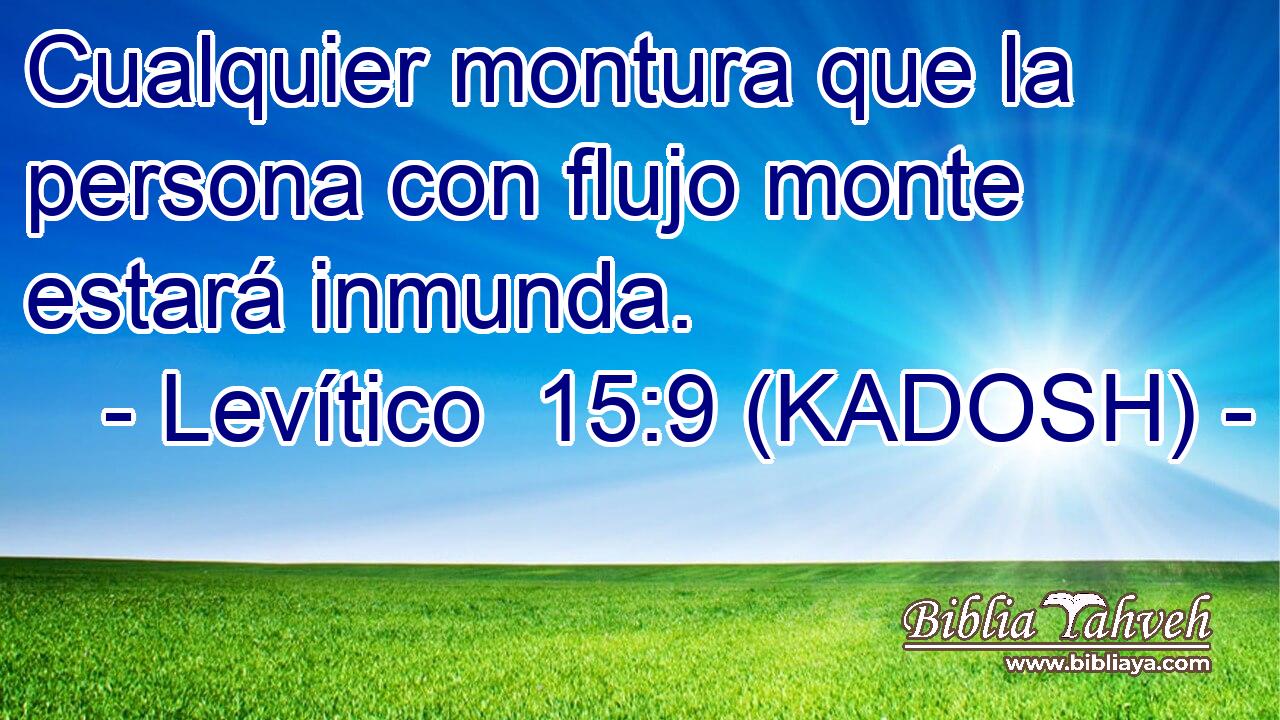  Cualquier montura que la persona con flujo monte estará inmunda. 