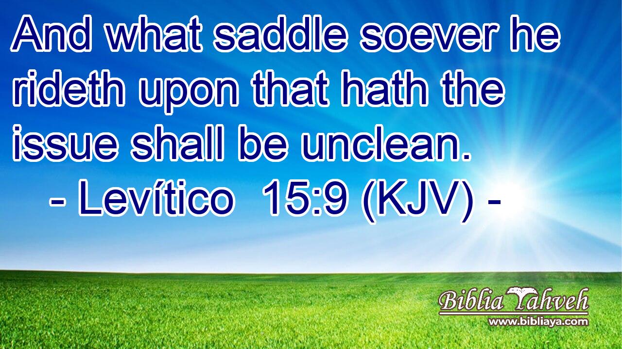 And what saddle soever he rideth upon that hath the issue shall be unclean.