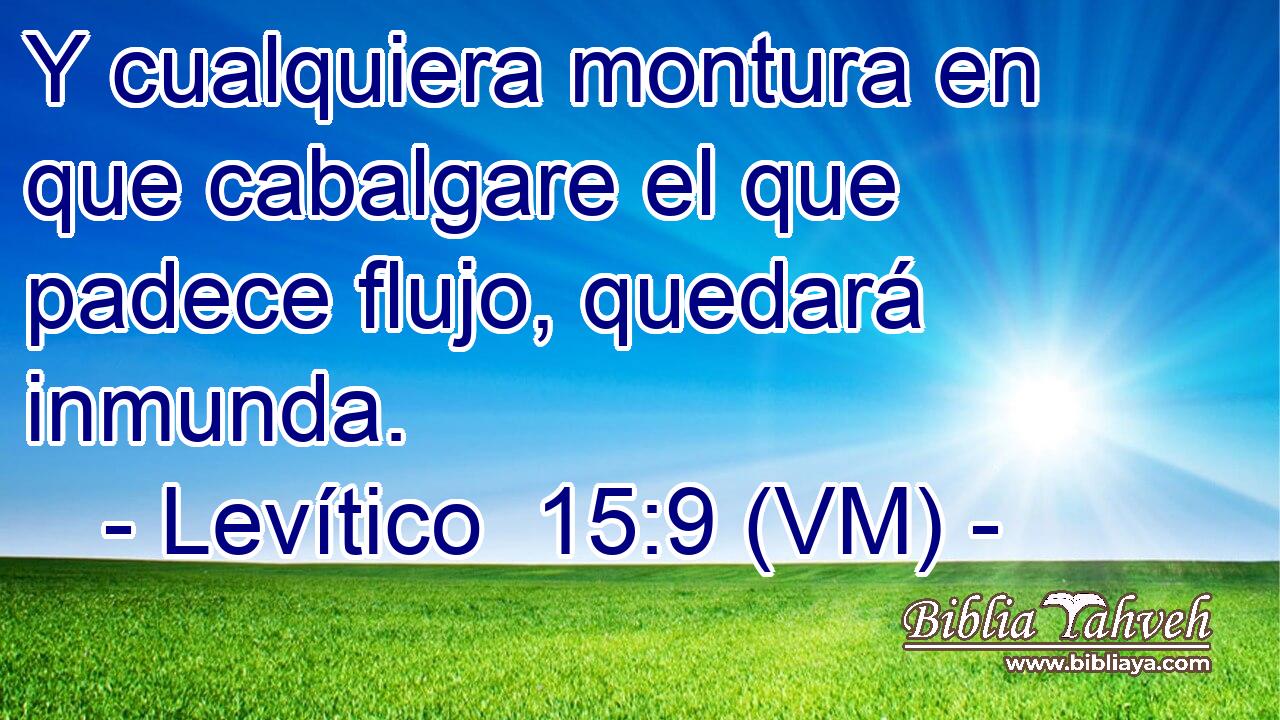  Y cualquiera montura en que cabalgare el que padece flujo, quedará inmunda. 