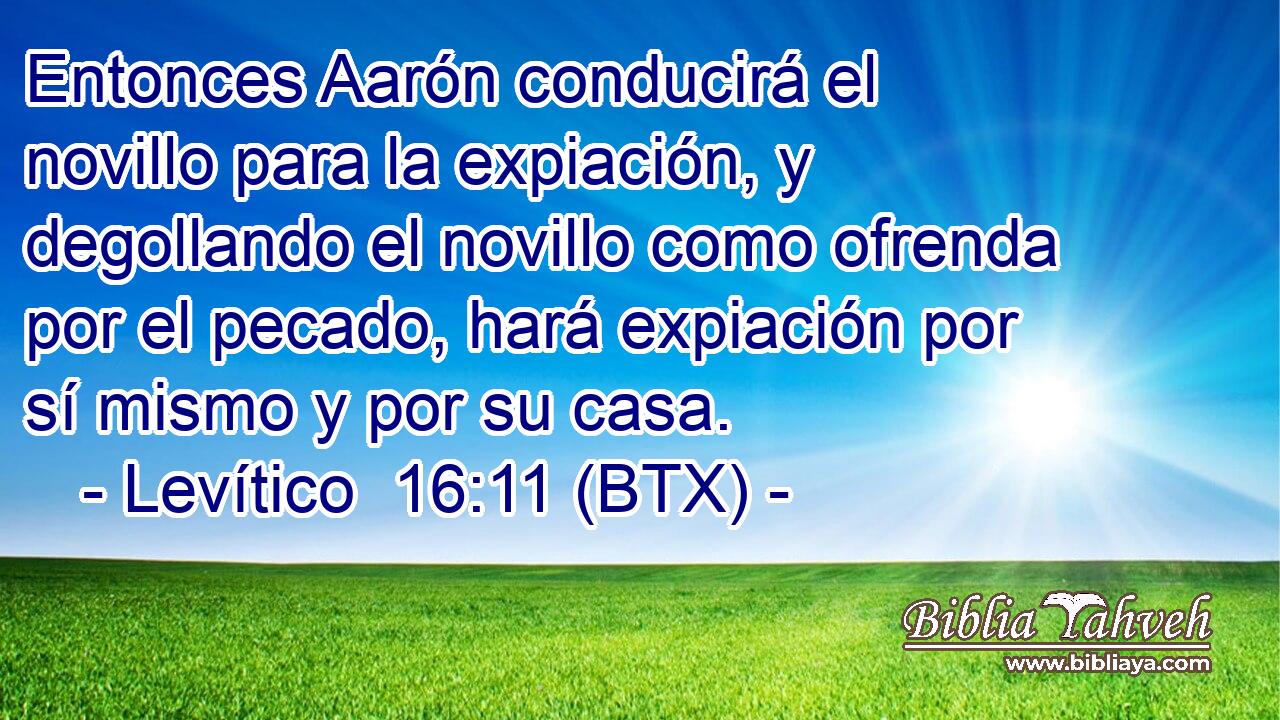 Entonces Aarón conducirá el novillo para la expiación, y degollando el novillo como ofrenda por el pecado, hará expiación por sí mismo y por su casa.