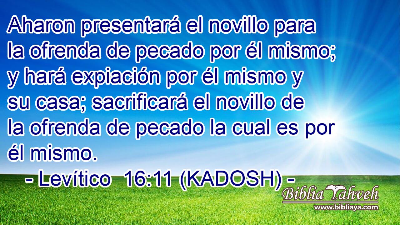  Aharon presentará el novillo para la ofrenda de pecado por él mismo; y hará expiación por él mismo y su casa; sacrificará el novillo de la ofrenda de pecado la cual es por él mismo. 