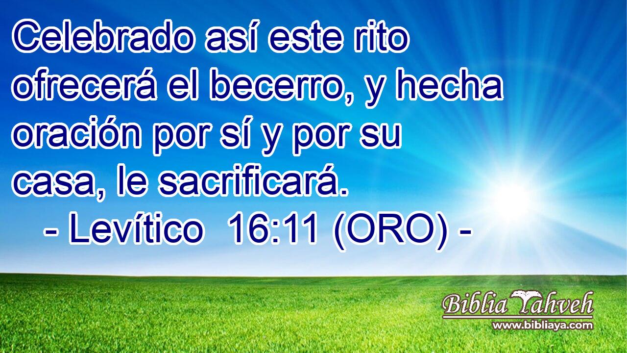  Celebrado así este rito ofrecerá el becerro, y hecha oración por sí y por su casa, le sacrificará. 