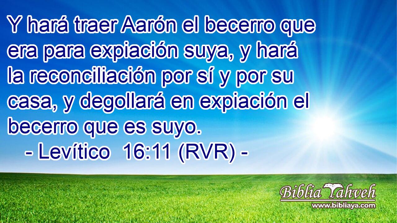 Y hará traer Aarón el becerro que era para expiación suya, y hará la reconciliación por sí y por su casa, y degollará en expiación el becerro que es suyo.