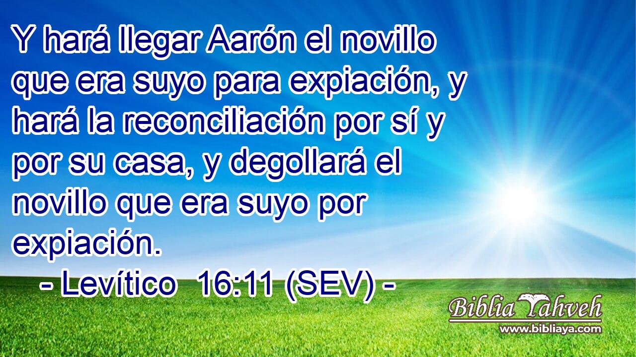 Y hará llegar Aarón el novillo que era suyo para expiación, y hará la reconciliación por sí y por su casa, y degollará el novillo que era suyo por expiación.