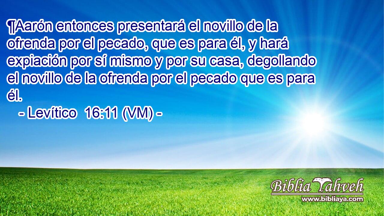  ¶Aarón entonces presentará el novillo de la ofrenda por el pecado, que es para él, y hará expiación por sí mismo y por su casa, degollando el novillo de la ofrenda por el pecado que es para él. 