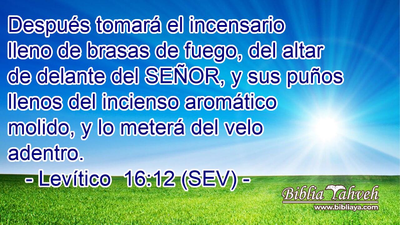 Después tomará el incensario lleno de brasas de fuego, del altar de delante del SEÑOR, y sus puños llenos del incienso aromático molido, y lo meterá del velo adentro.