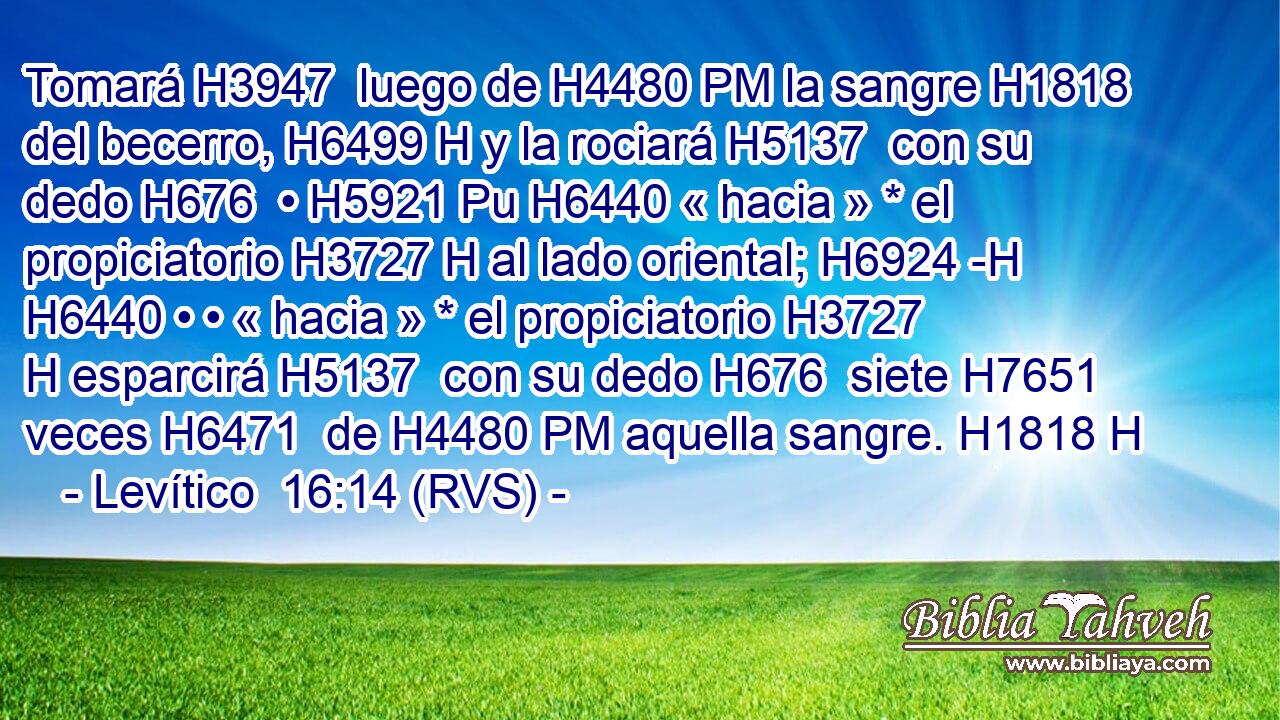 Tomará H3947  luego de H4480 PM la sangre H1818  del becerro, H6499 H y la rociará H5137  con su dedo H676  • H5921 Pu H6440 « hacia » * el propiciatorio H3727 H al lado oriental; H6924 -H H6440 • • « hacia » * el propiciatorio H3727 H esparcirá H5137  con su dedo H676  siete H7651  veces H6471  de H4480 PM aquella sangre. H1818 H 