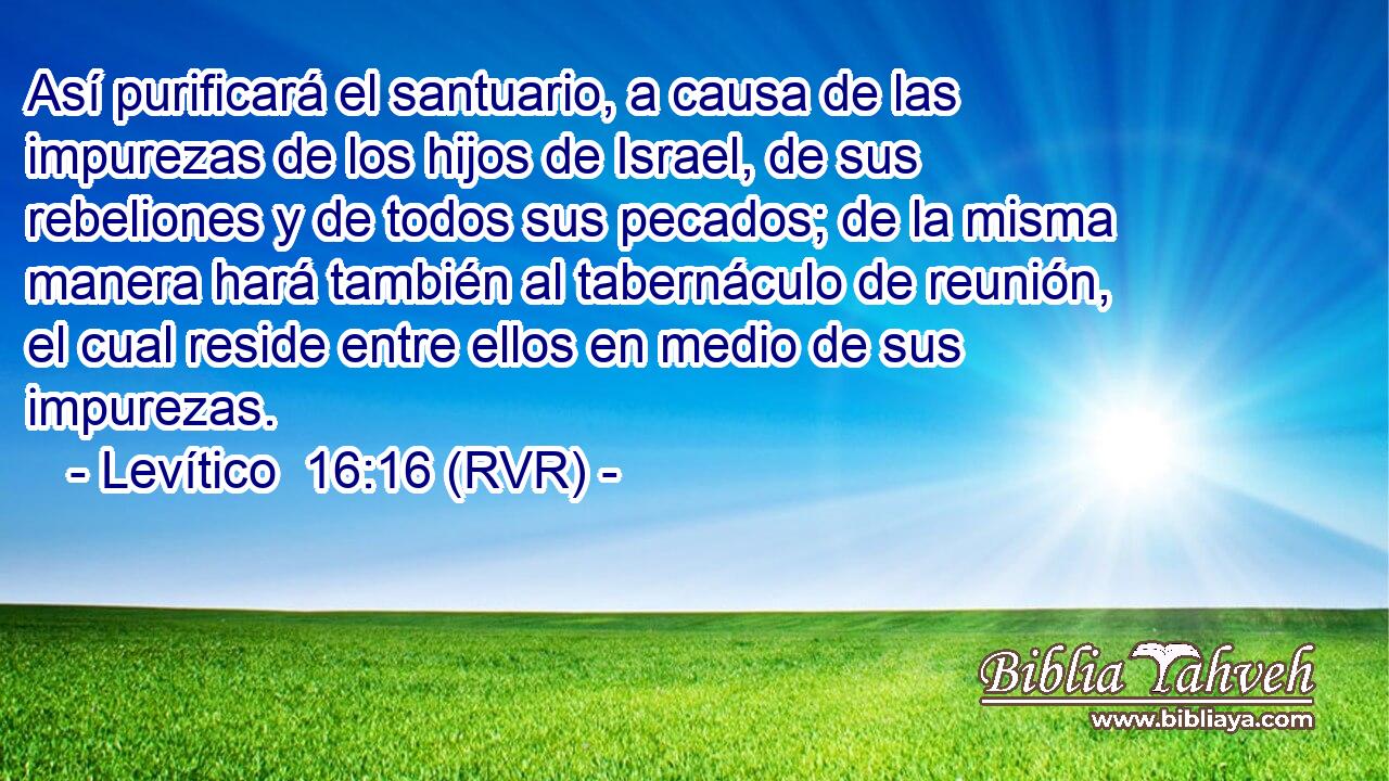 Así purificará el santuario, a causa de las impurezas de los hijos de Israel, de sus rebeliones y de todos sus pecados; de la misma manera hará también al tabernáculo de reunión, el cual reside entre ellos en medio de sus impurezas.