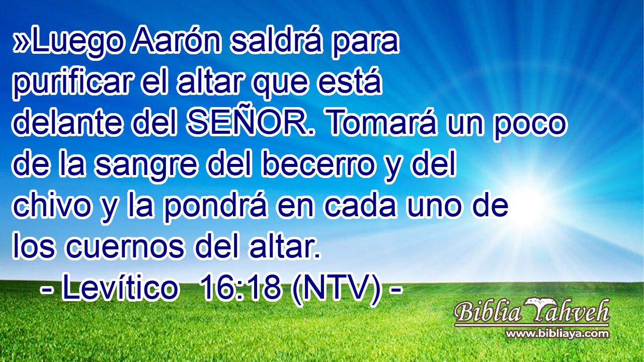 »Luego Aarón saldrá para purificar el altar que está delante del SEÑOR. Tomará un poco de la sangre del becerro y del chivo y la pondrá en cada uno de los cuernos del altar.