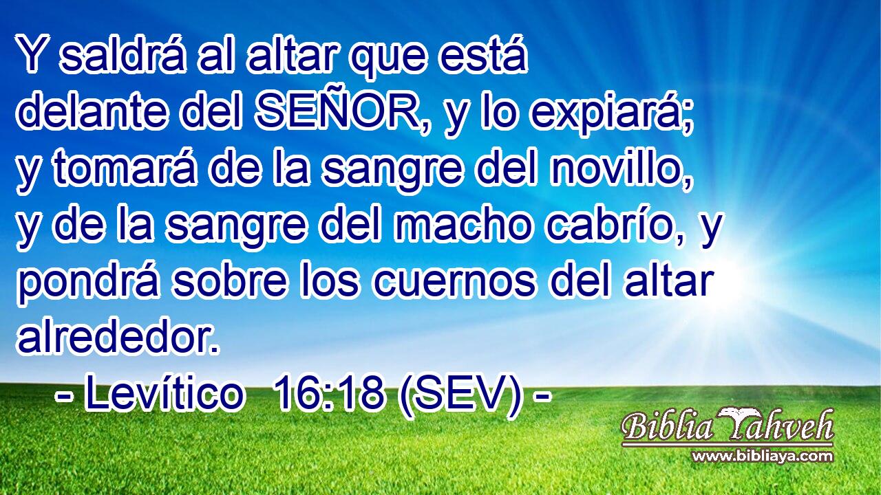 Y saldrá al altar que está delante del SEÑOR, y lo expiará; y tomará de la sangre del novillo, y de la sangre del macho cabrío, y pondrá sobre los cuernos del altar alrededor.